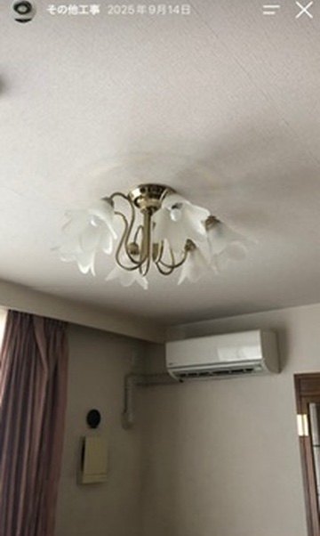 天井に直付けした花形のシャンデリア